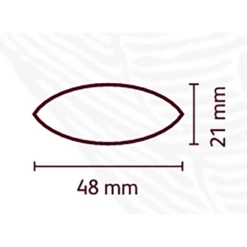 Cacao Barry Cocoa Pod / Cabosse - TRITAN -US Seasoning Sales 2024 090524 2