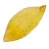 Corsiglia Lemon Peels In Quarters -US Seasoning Sales 2024 d 161080
