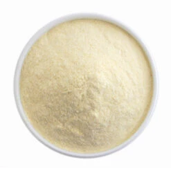Dehydrated Mango Powder