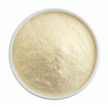 Dehydrated Mango Powder 1 Dehydrated Mango Powder